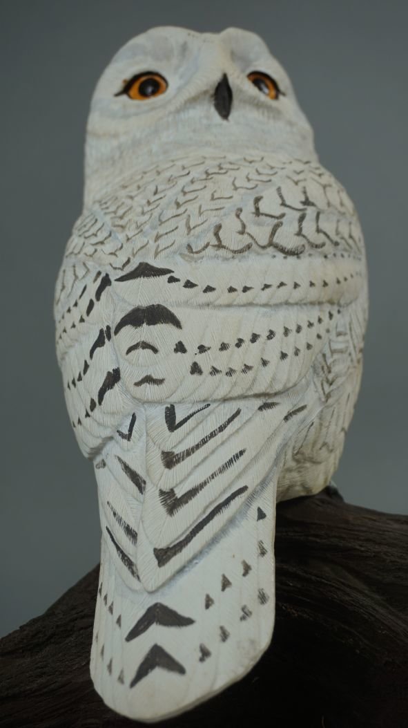 Image for Fall Sportsman's Timed Auction