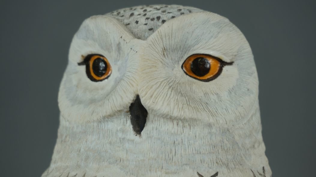 Image for Fall Sportsman's Timed Auction