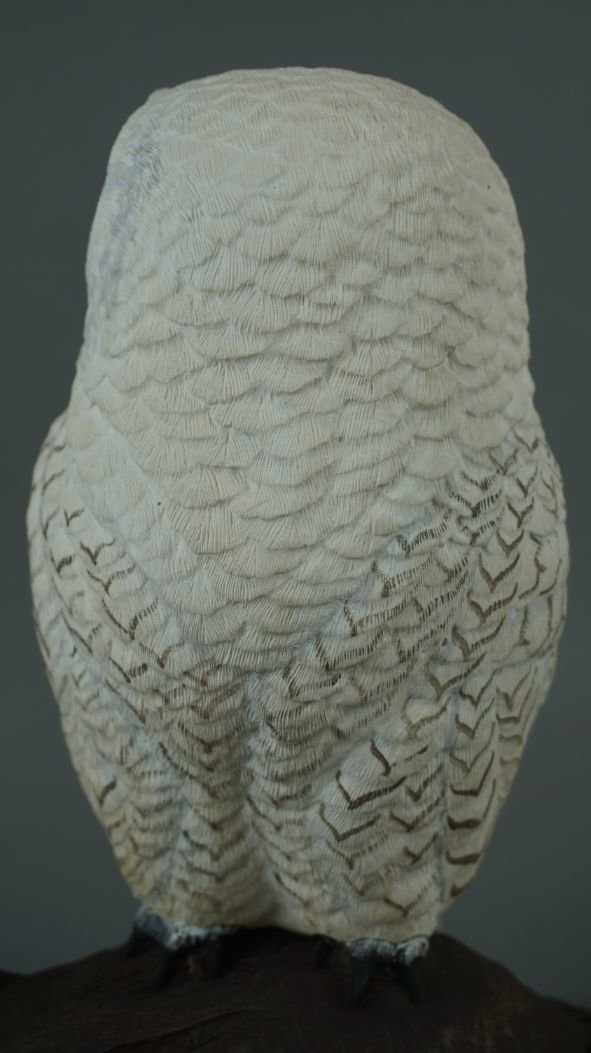 Image for Fall Sportsman's Timed Auction