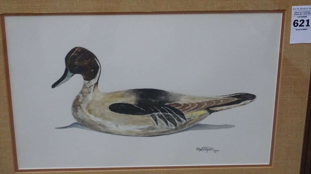 Image for Fall Sportsman's Timed Auction