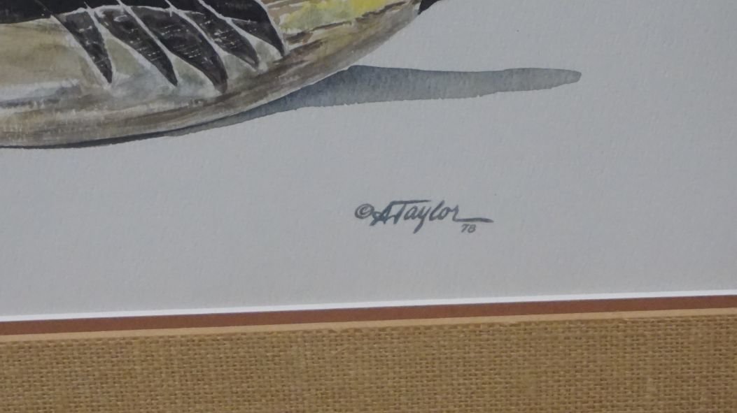 Image for Fall Sportsman's Timed Auction