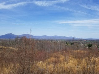 Image for MULTI-PROPERTY REAL ESTATE AUCTION: Including Acreage, Home & Vacant Lots (Bedford, VA)