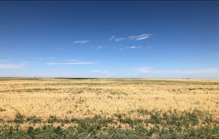 Image for KIT CARSON COUNTY - DRYLAND (C4058)