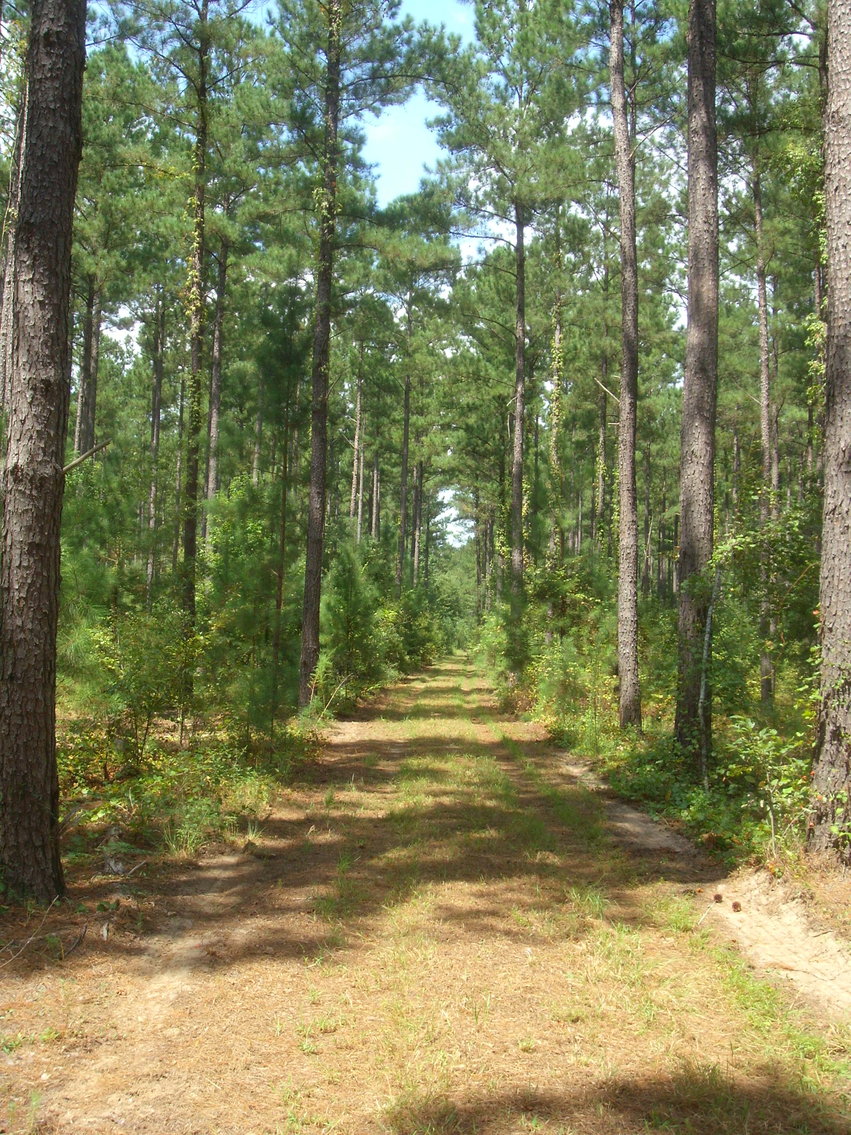 Image for LIVE AUCTION - October 22, 2020