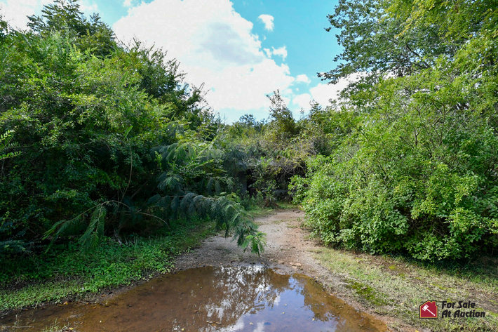 Image for Prince Edward County VA Judicial Sale of Tax Delinquent Real Estate