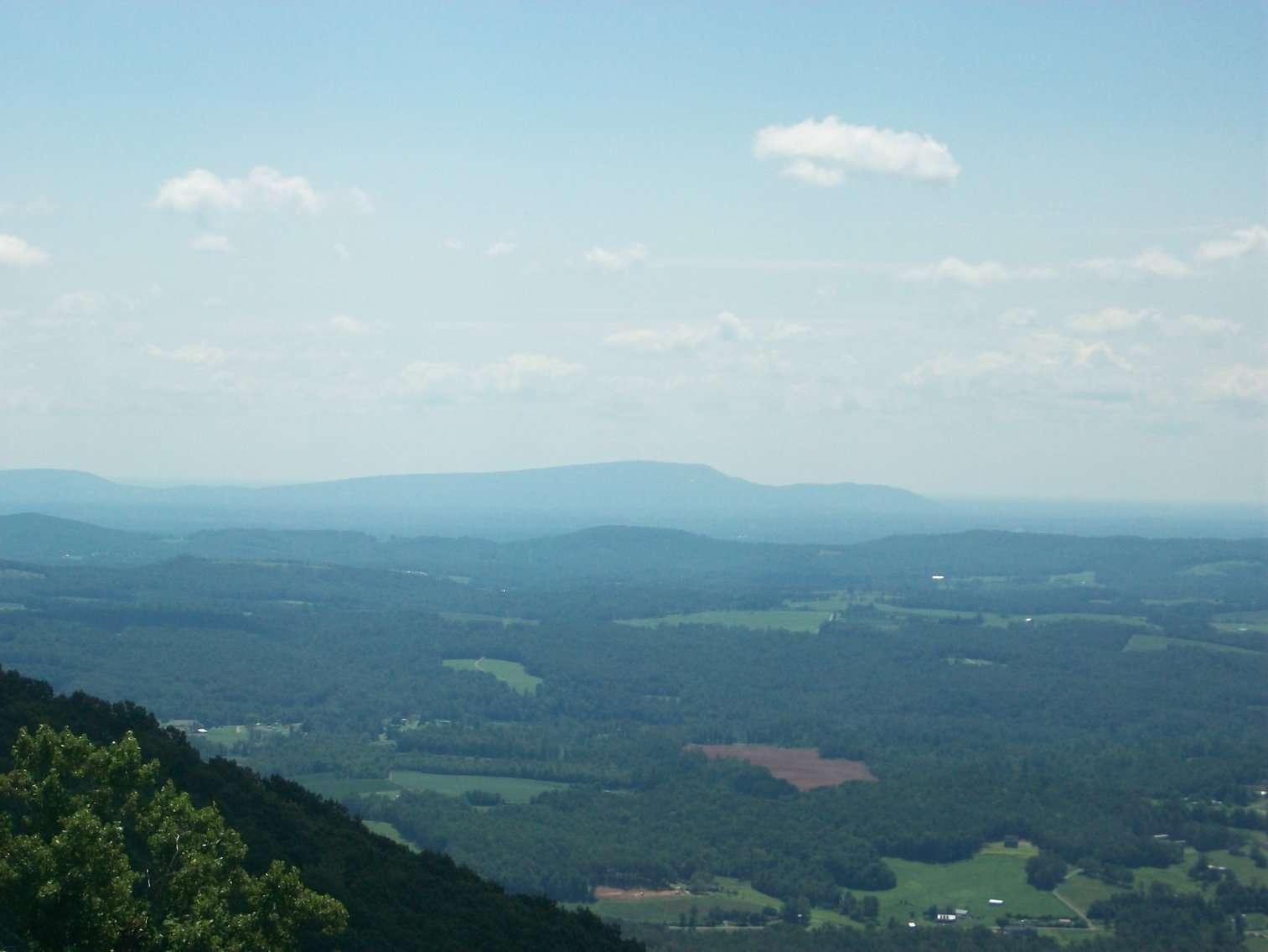 Image for REAL ESTATE AUCTION: 132± Acres in 2 Tracts (Hillsville, VA)