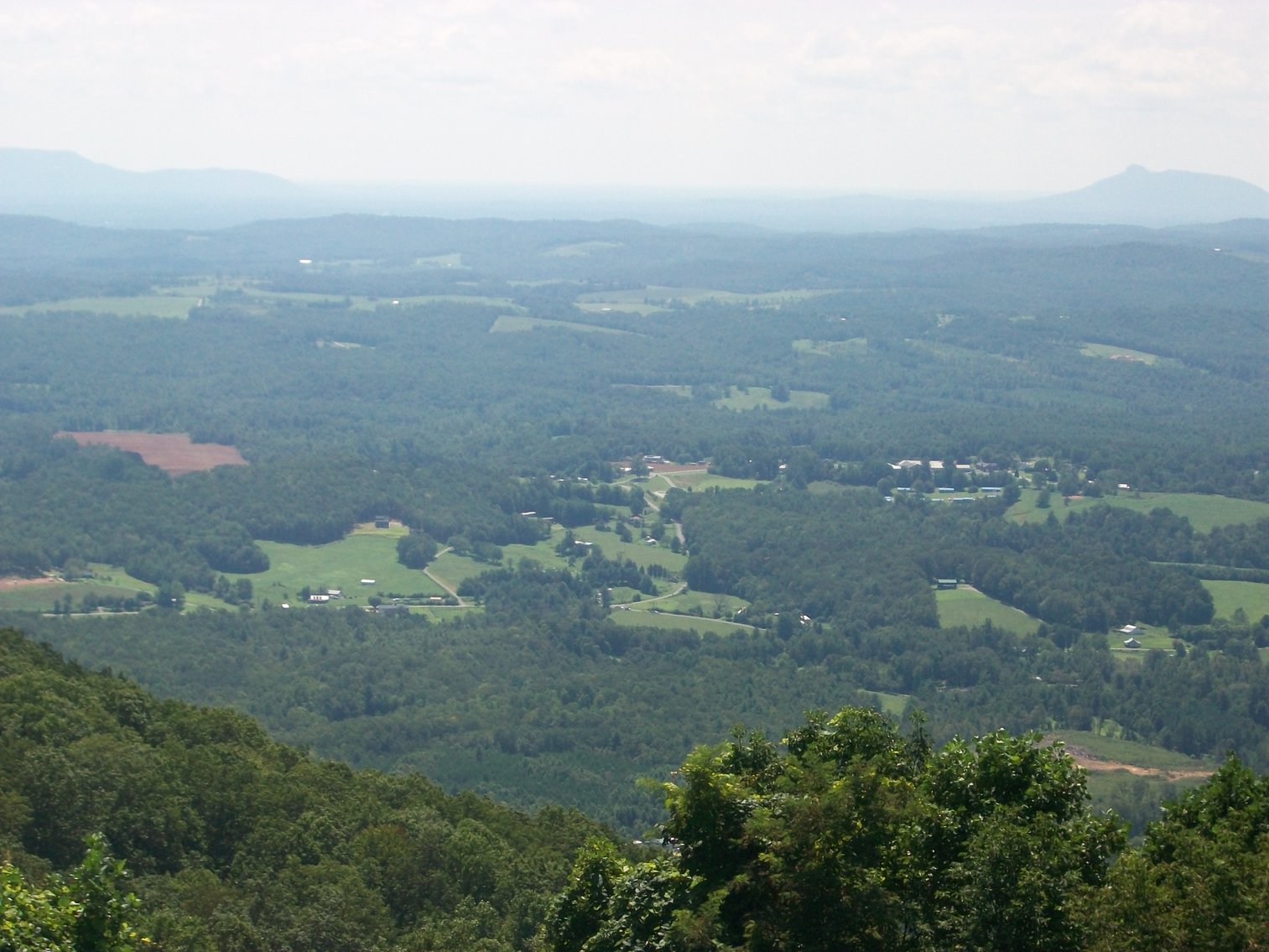 Image for REAL ESTATE AUCTION: 132± Acres in 2 Tracts (Hillsville, VA)