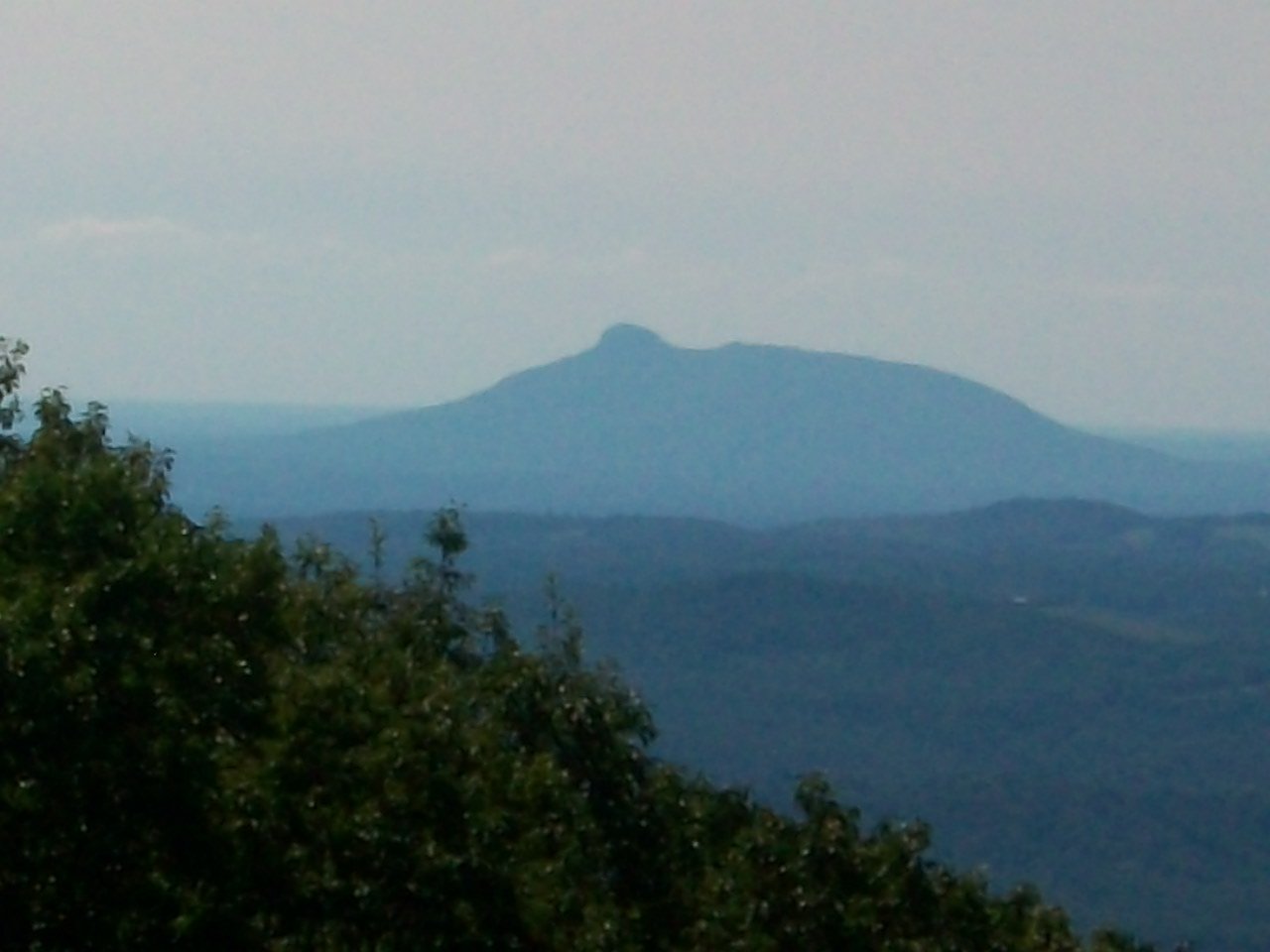 Image for REAL ESTATE AUCTION: 132± Acres in 2 Tracts (Hillsville, VA)