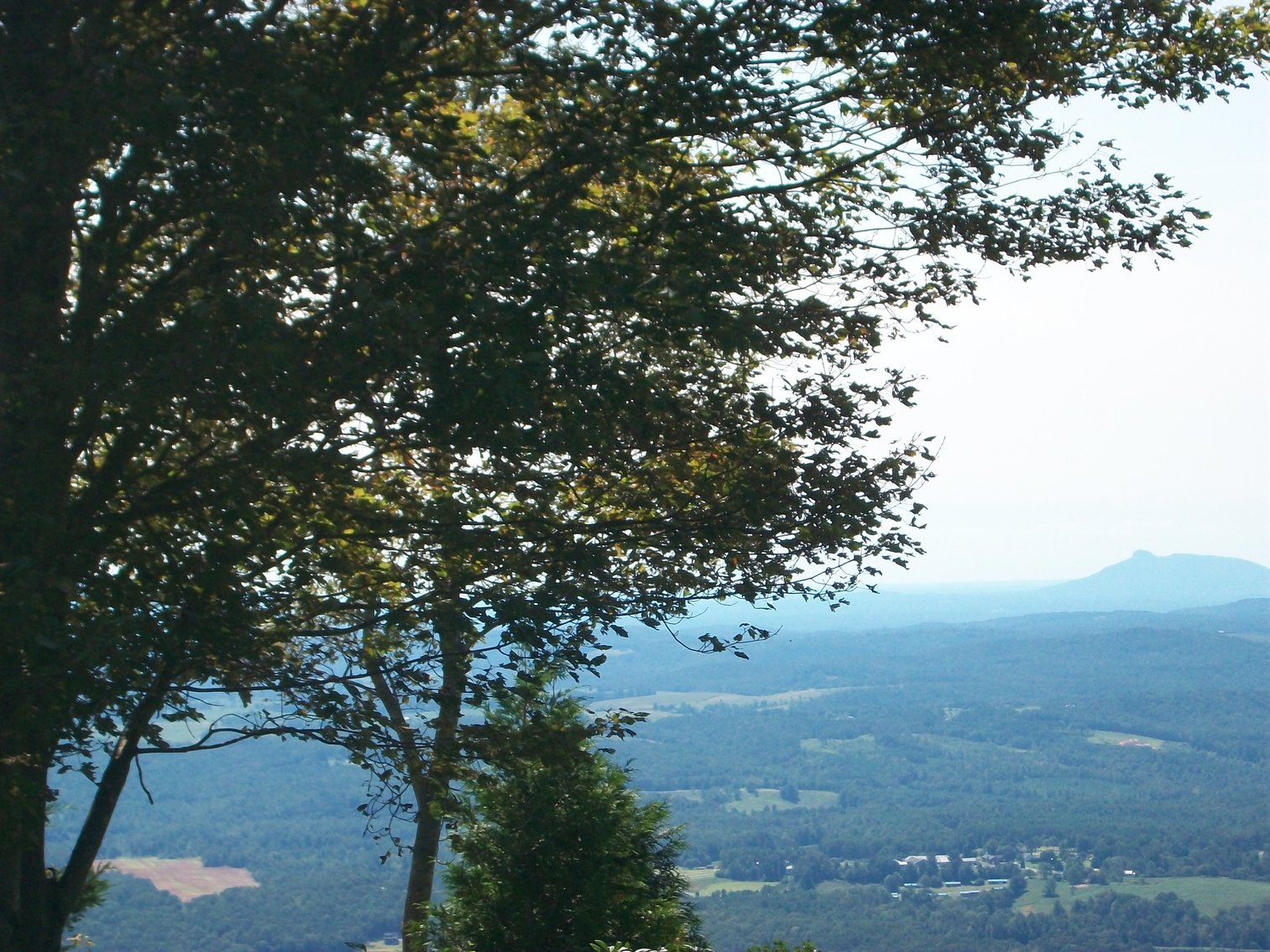 Image for REAL ESTATE AUCTION: 132± Acres in 2 Tracts (Hillsville, VA)