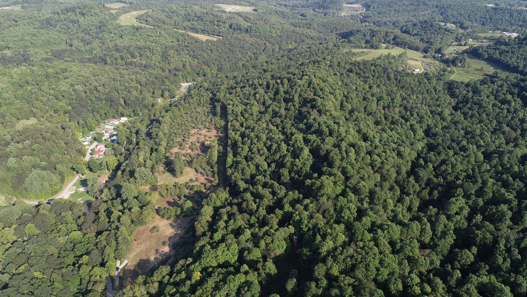 Image for SOLD $184,250 - 63 Acres Sold to the Highest Bidder