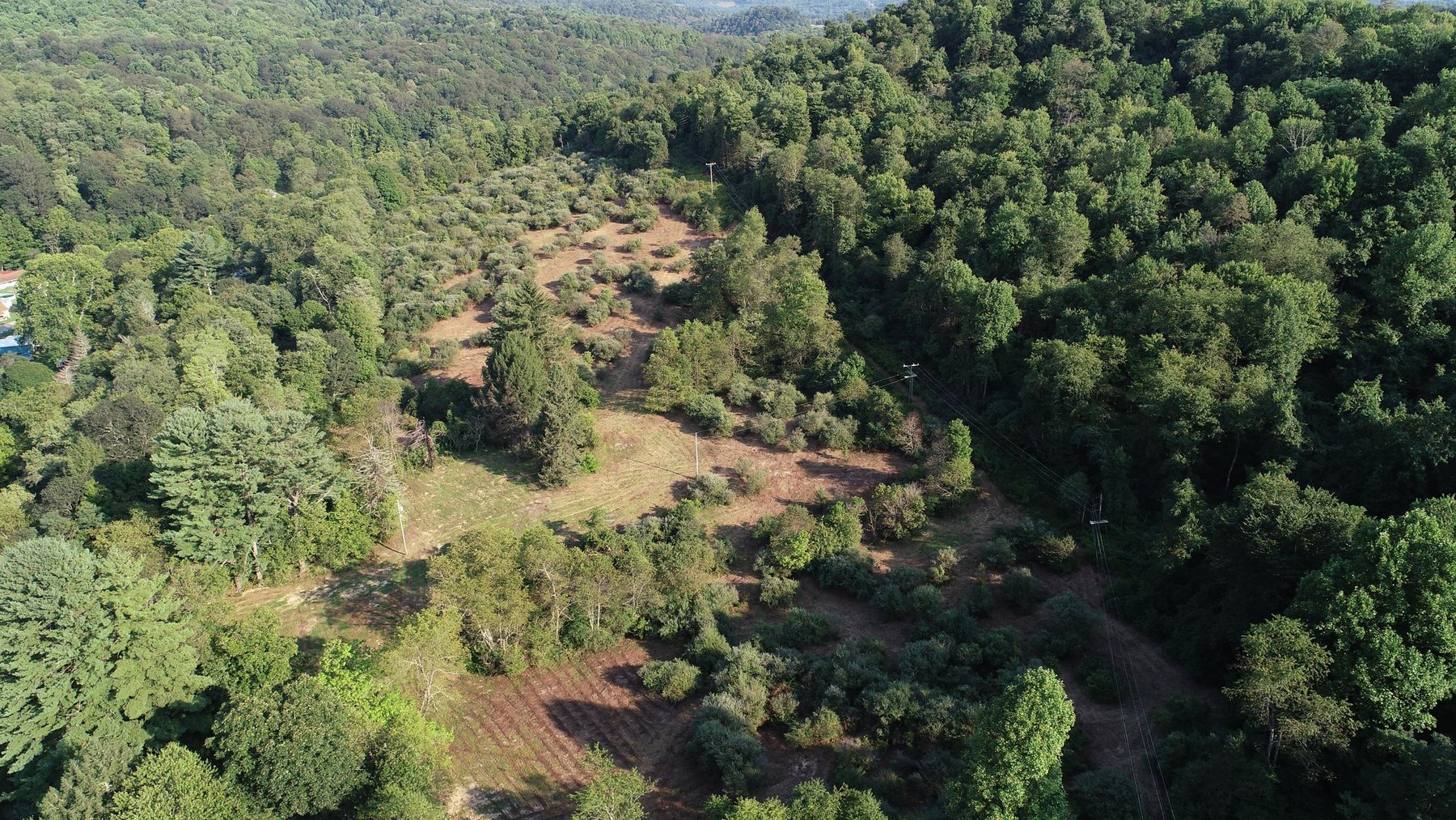 Image for SOLD $184,250 - 63 Acres Sold to the Highest Bidder