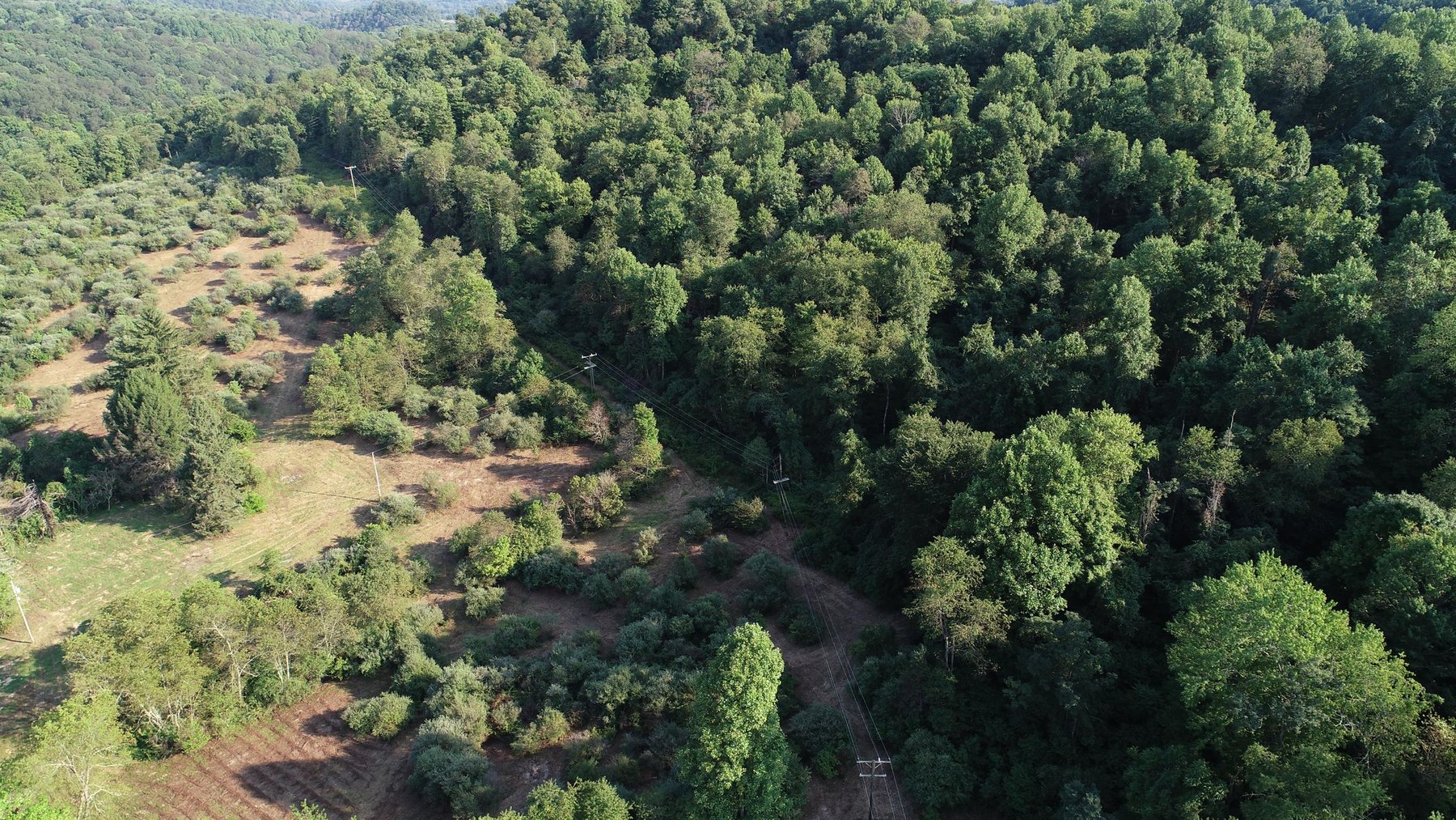 Image for SOLD $184,250 - 63 Acres Sold to the Highest Bidder