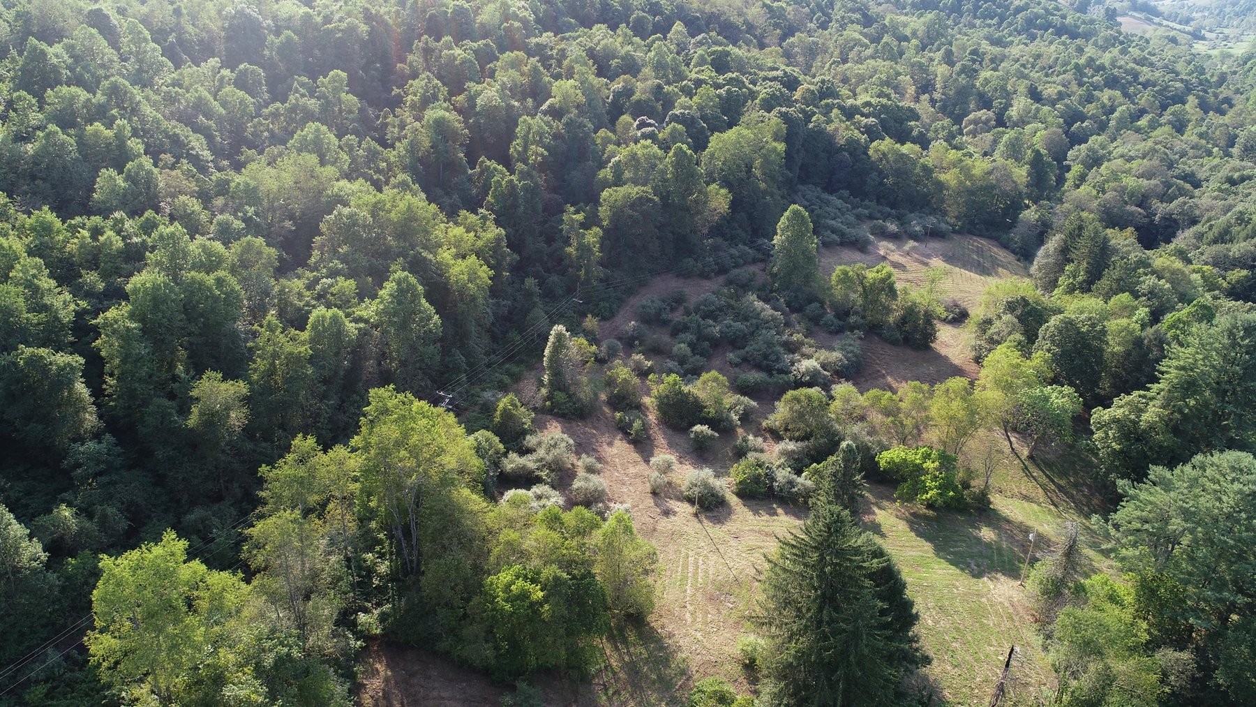 Image for SOLD $184,250 - 63 Acres Sold to the Highest Bidder