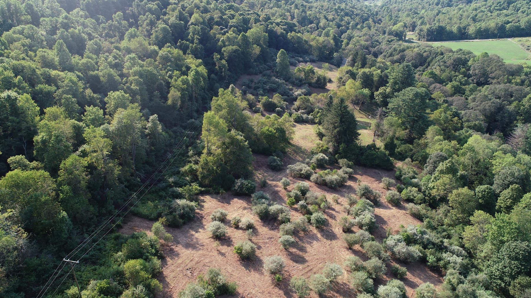 Image for SOLD $184,250 - 63 Acres Sold to the Highest Bidder