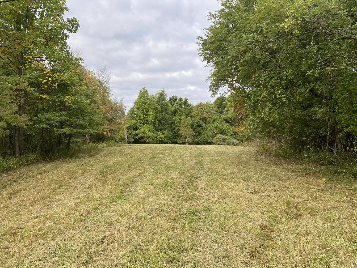 Image for SOLD $71,500 - 4.25 Acres off Bell Run Road