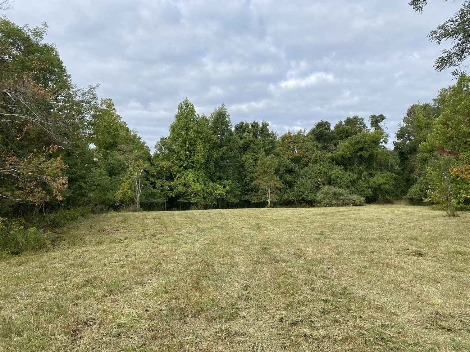 Image for SOLD $71,500 - 4.25 Acres off Bell Run Road
