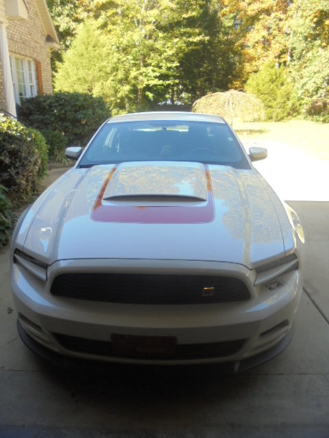 Image for PUBLIC AUCTION