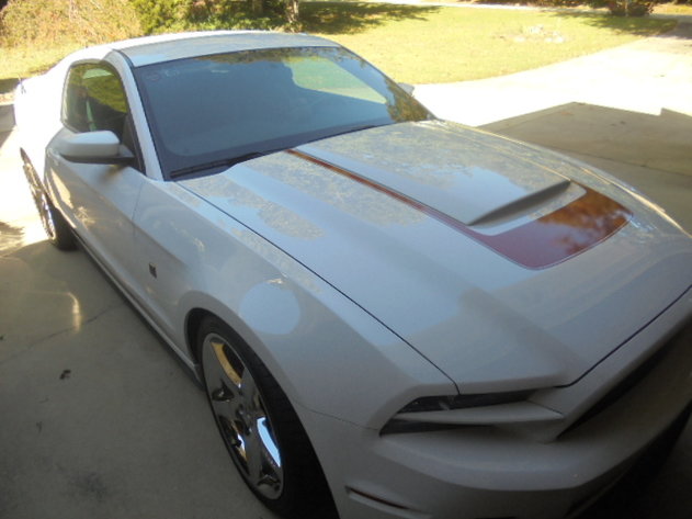 Image for PUBLIC AUCTION