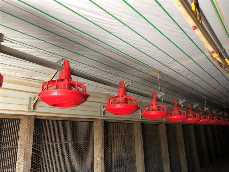 Image for House & 12.9 Acres, 2 Poultry Houses & 36 Acres, Mobile Home & 1.02 Acre - Elkin, NC