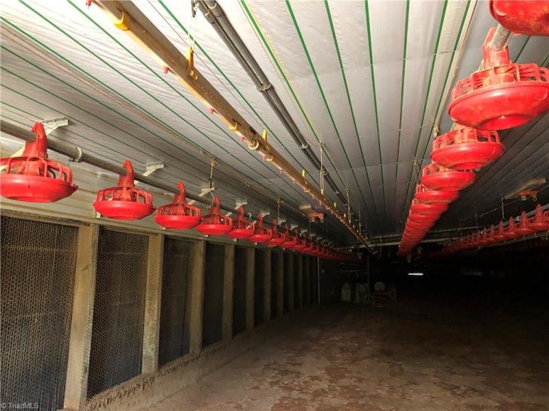 Image for House & 12.9 Acres, 2 Poultry Houses & 36 Acres, Mobile Home & 1.02 Acre - Elkin, NC