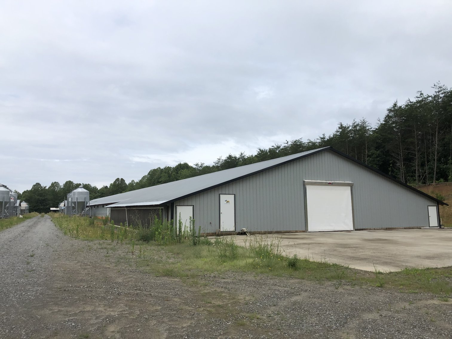 Image for House & 12.9 Acres, 2 Poultry Houses & 36 Acres, Mobile Home & 1.02 Acre - Elkin, NC