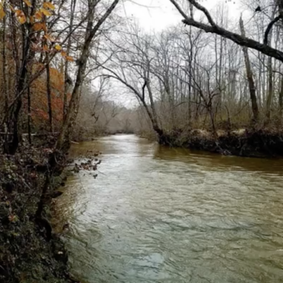 Image for 365 +/- Contiguous Acres of Land Offered in 3 Tracts Featuring Timber, Pasture & 5,600' +/- of River Frontage--Campbell County, VA