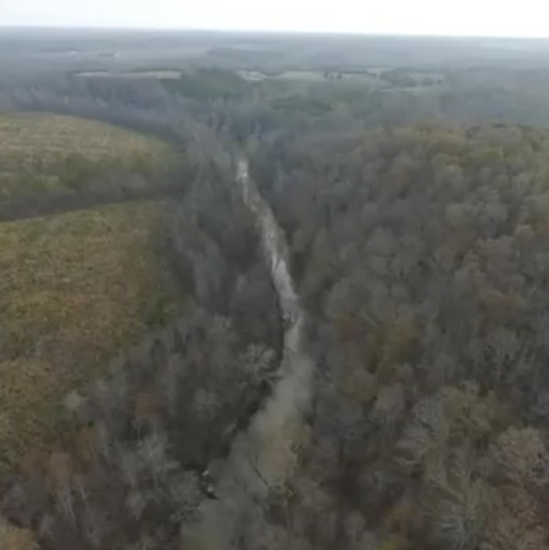 Image for 365 +/- Contiguous Acres of Land Offered in 3 Tracts Featuring Timber, Pasture & 5,600' +/- of River Frontage--Campbell County, VA