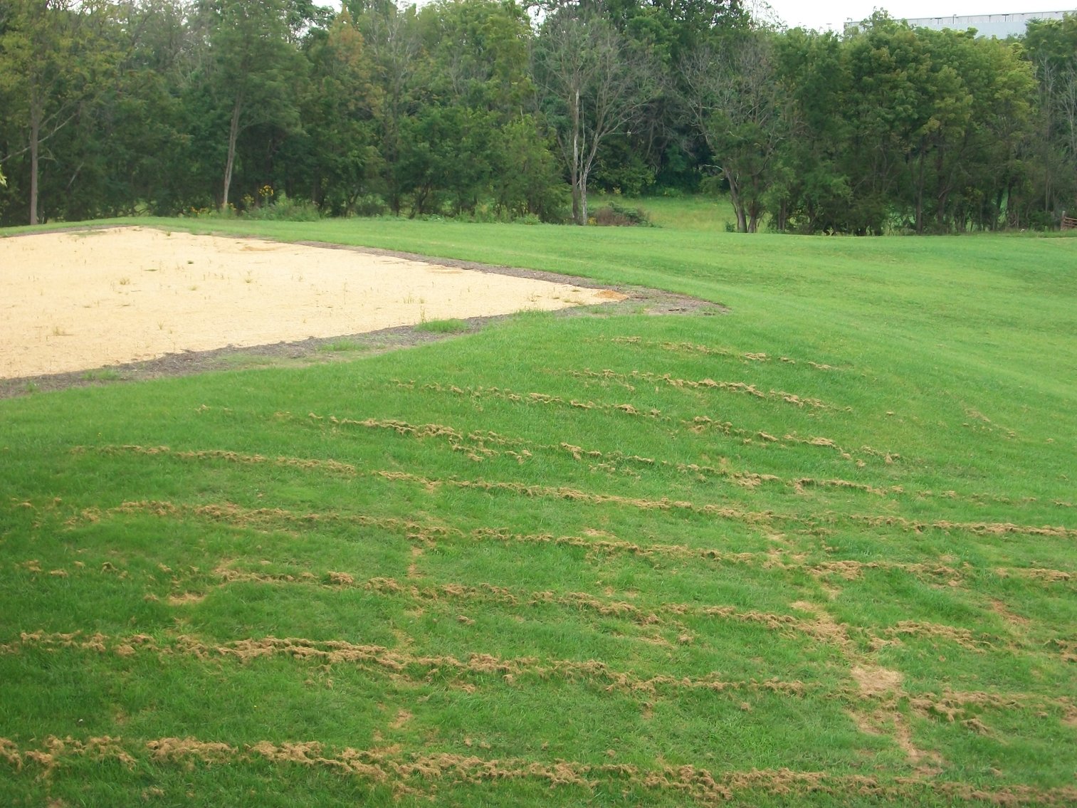 Image for ABSOLUTE TRUSTEE AUCTION: 2 Event-Ready Buildings on 12.2 AC (Staunton, VA)