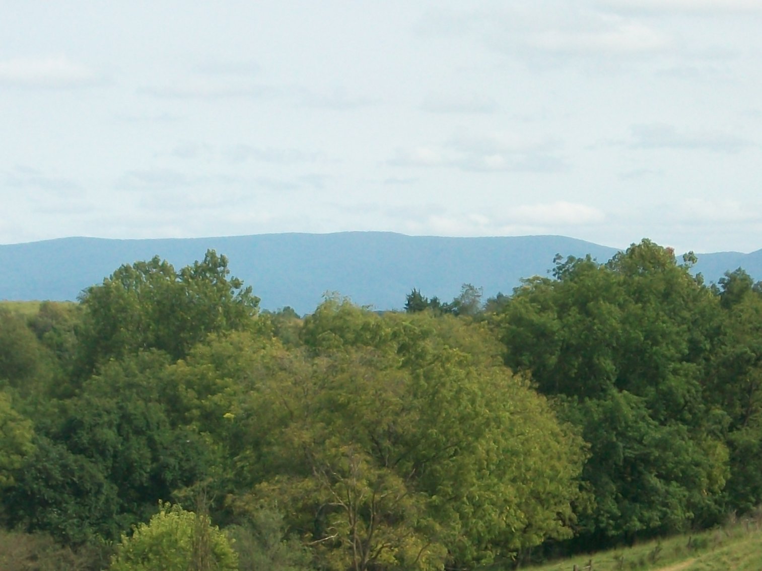 Image for ABSOLUTE TRUSTEE AUCTION: 2 Event-Ready Buildings on 12.2 AC (Staunton, VA)