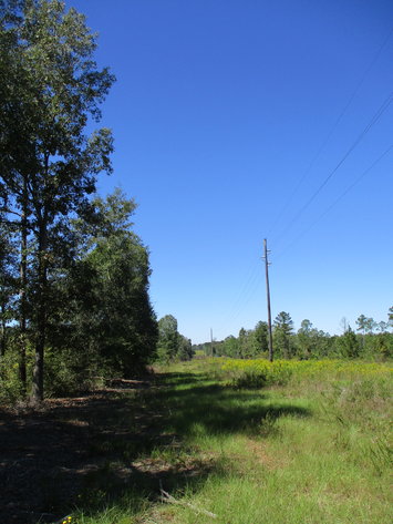 Image for LIVE AUCTION - November 12, 2020 @ 7:00 P.M.