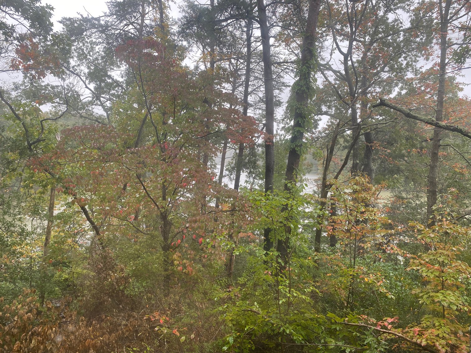 Image for Northern Neck Waterfront Home - 4.3 AC Riverfront Lot - 1,300 SF Unfinished Basement - Quite Cove On Coan River - Northumberland County – 422 Bundick Rd., Lottsburg, VA 22511