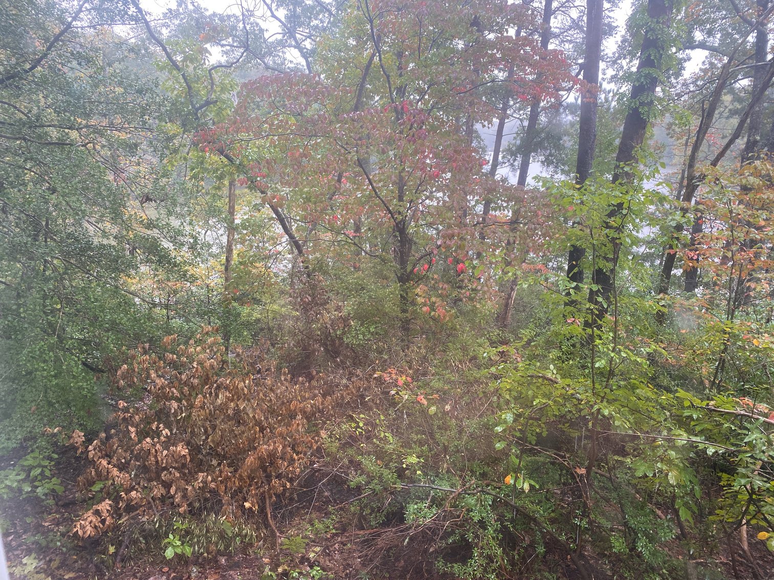 Image for Northern Neck Waterfront Home - 4.3 AC Riverfront Lot - 1,300 SF Unfinished Basement - Quite Cove On Coan River - Northumberland County – 422 Bundick Rd., Lottsburg, VA 22511