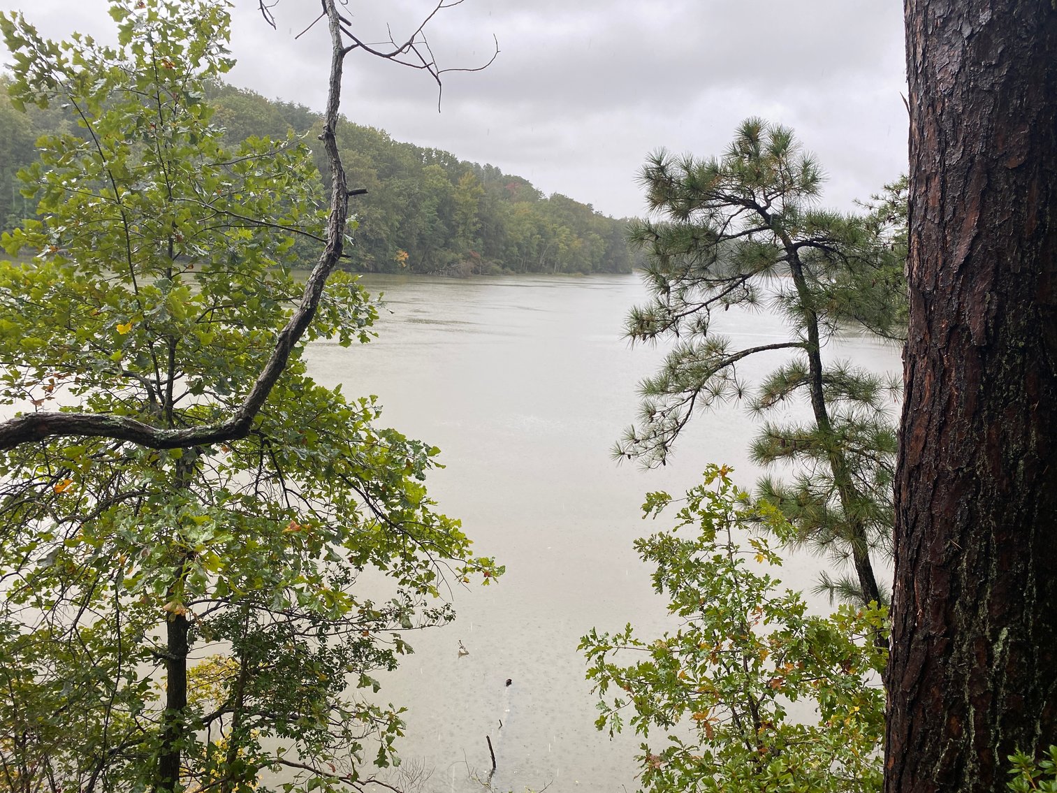 Image for Northern Neck Waterfront Home - 4.3 AC Riverfront Lot - 1,300 SF Unfinished Basement - Quite Cove On Coan River - Northumberland County – 422 Bundick Rd., Lottsburg, VA 22511