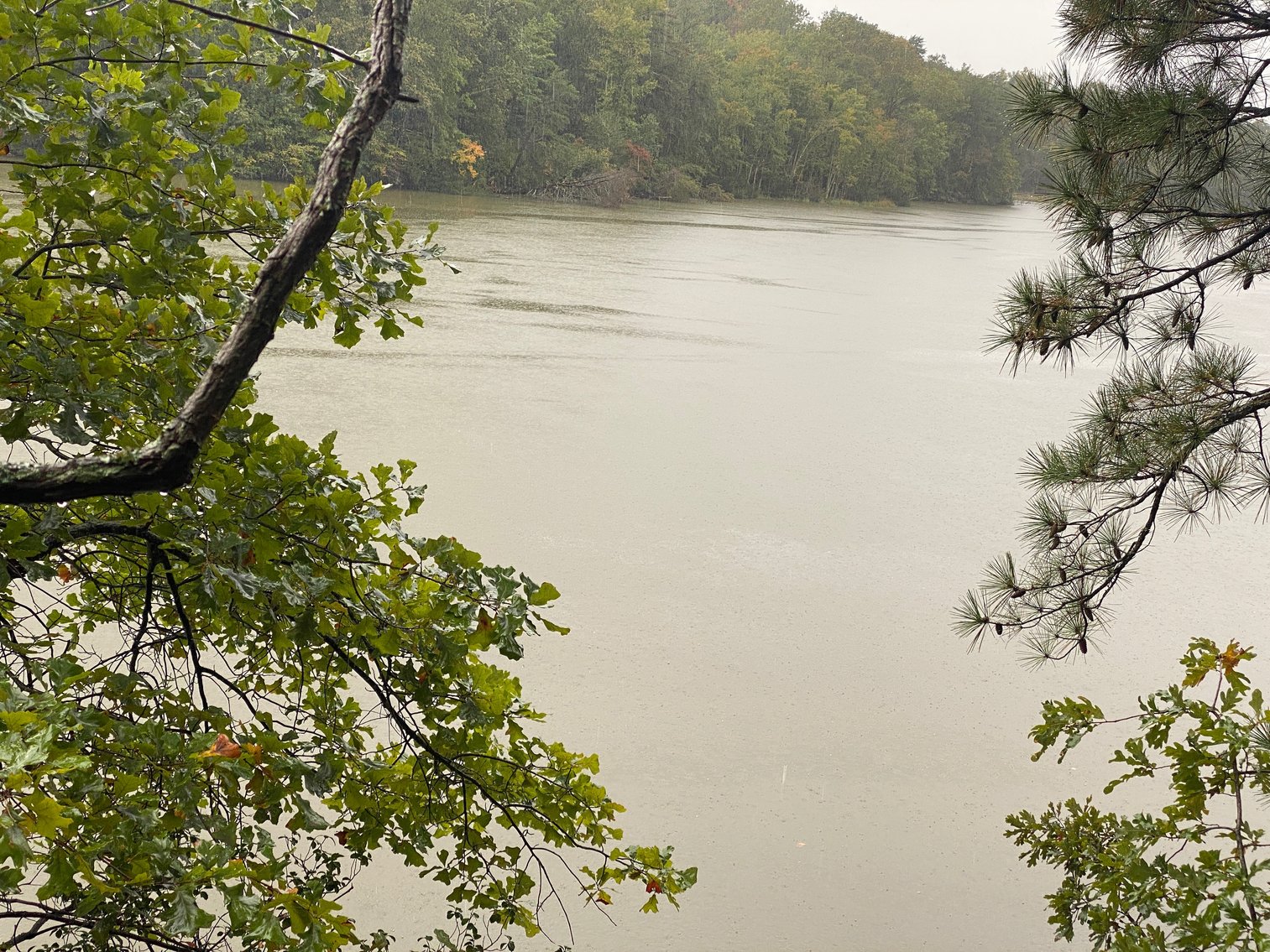 Image for Northern Neck Waterfront Home - 4.3 AC Riverfront Lot - 1,300 SF Unfinished Basement - Quite Cove On Coan River - Northumberland County – 422 Bundick Rd., Lottsburg, VA 22511