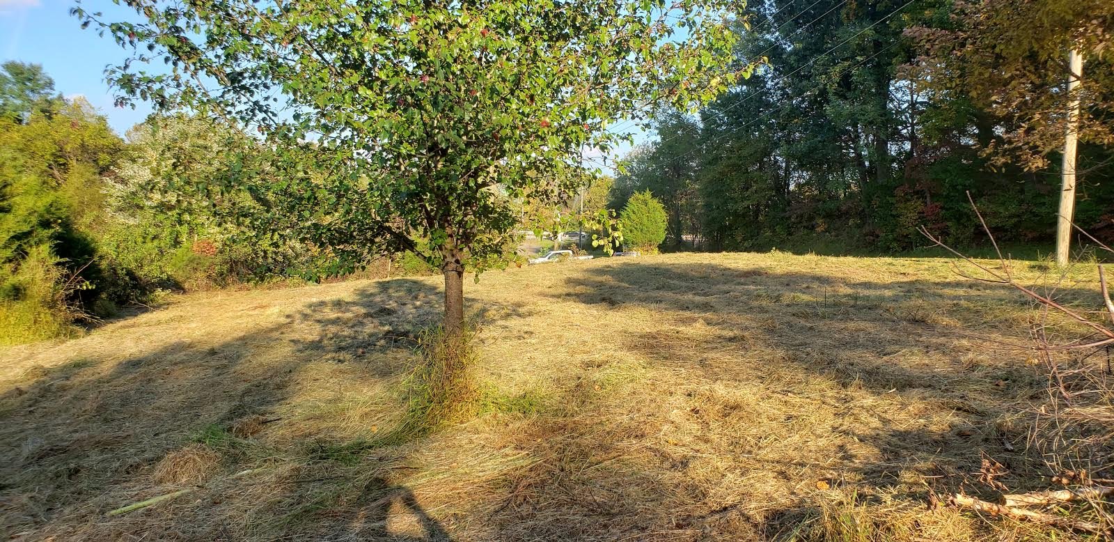 Image for .4974 +/- Acres in the Planned Unit Development District of Warrenton, VA (Fauquier County)--ONLINE ONLY BIDDING!!