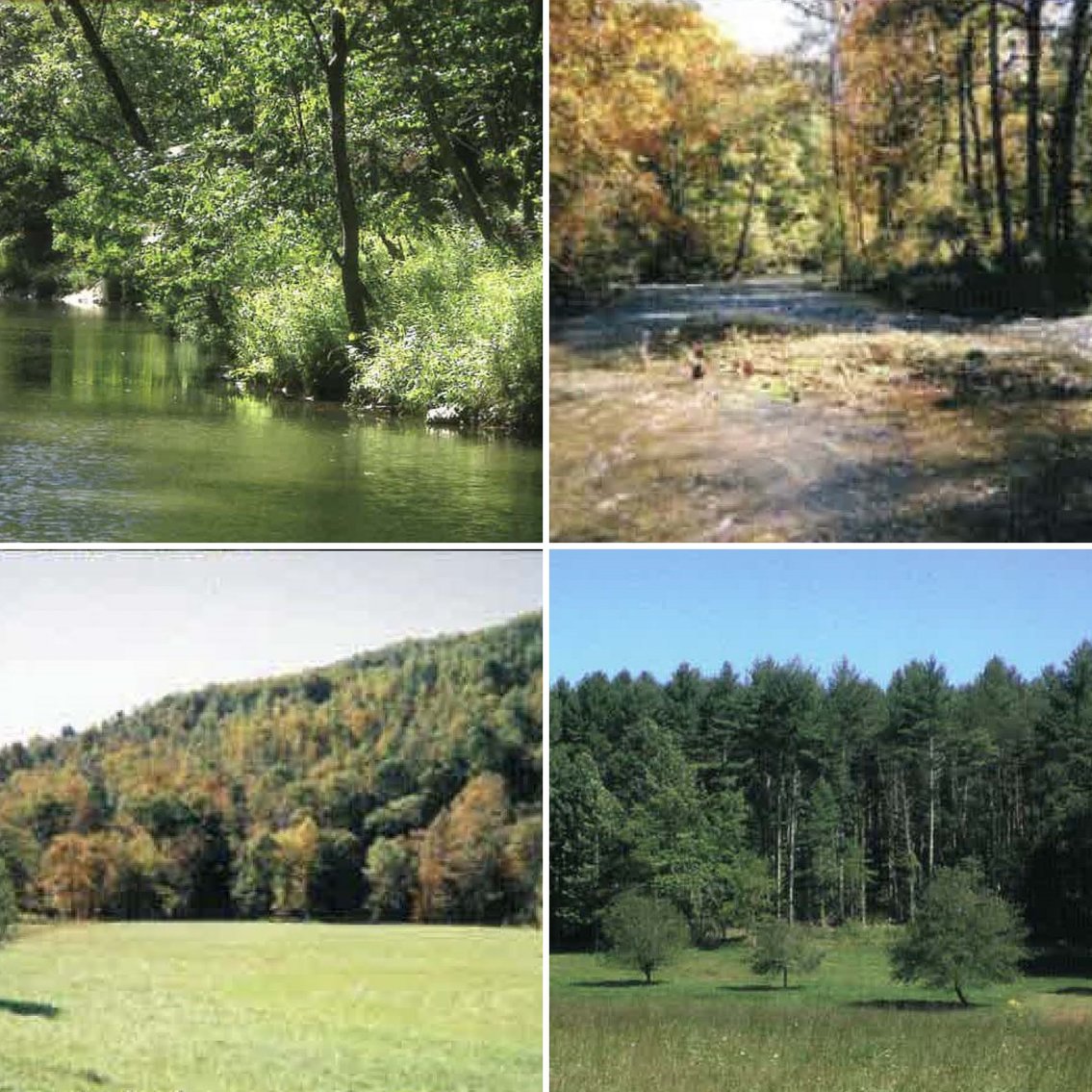Image for RIVERFRONT LAND AUCTION: 193.9± Acres in 2 Tracts (Rockbridge County, VA)