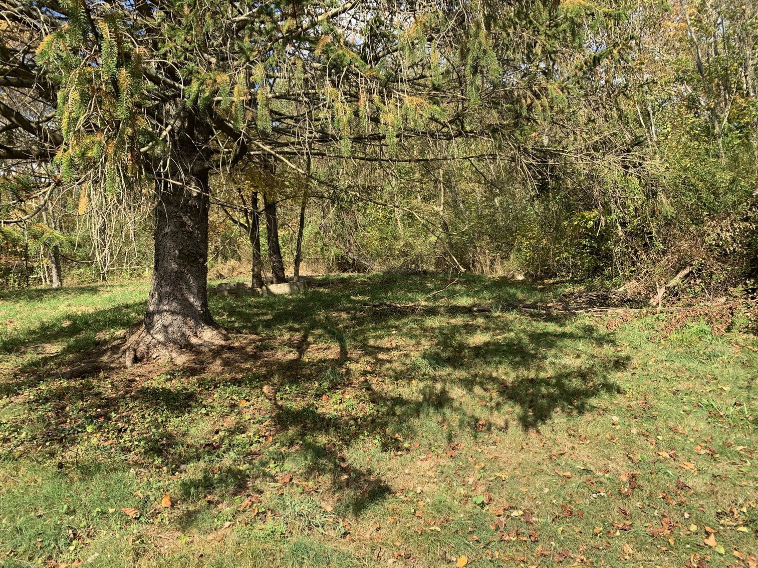 Image for SOLD - $20,000 Home in Stonewood