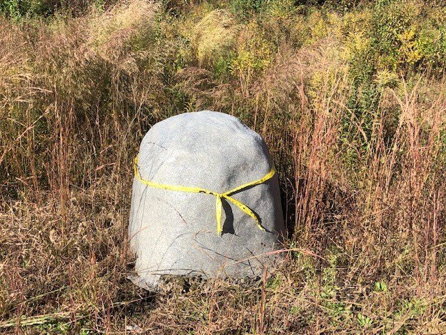 Image for House & 12.9 Acres, 2 Poultry Houses & 36 Acres, Mobile Home & 1.02 Acre - Elkin, NC