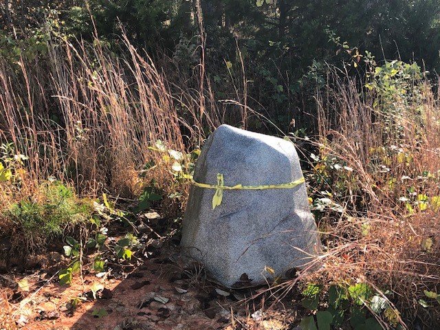 Image for House & 12.9 Acres, 2 Poultry Houses & 36 Acres, Mobile Home & 1.02 Acre - Elkin, NC