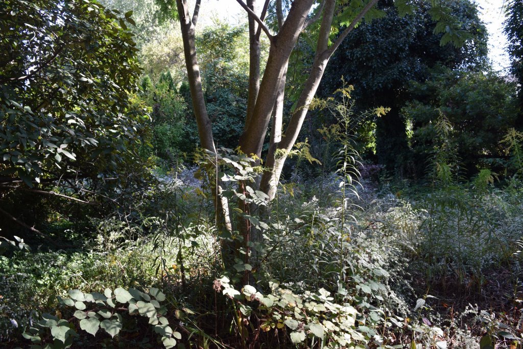 Image for Sealed Bid Real Estate Auction | 859 Ivyland Rd.,  Warminster, PA 18974 | Bids Due By November 17, 2020 at 4PM