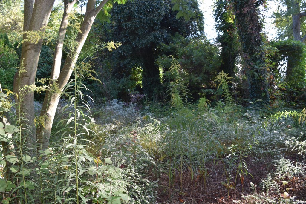 Image for Sealed Bid Real Estate Auction | 859 Ivyland Rd.,  Warminster, PA 18974 | Bids Due By November 17, 2020 at 4PM