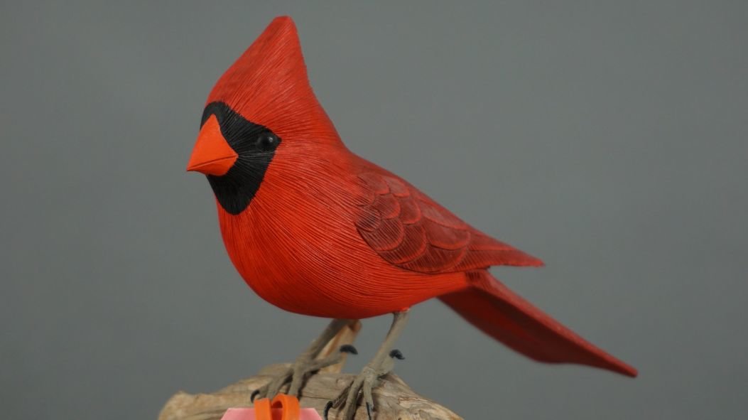 Image for November Online Sportsman's Auction