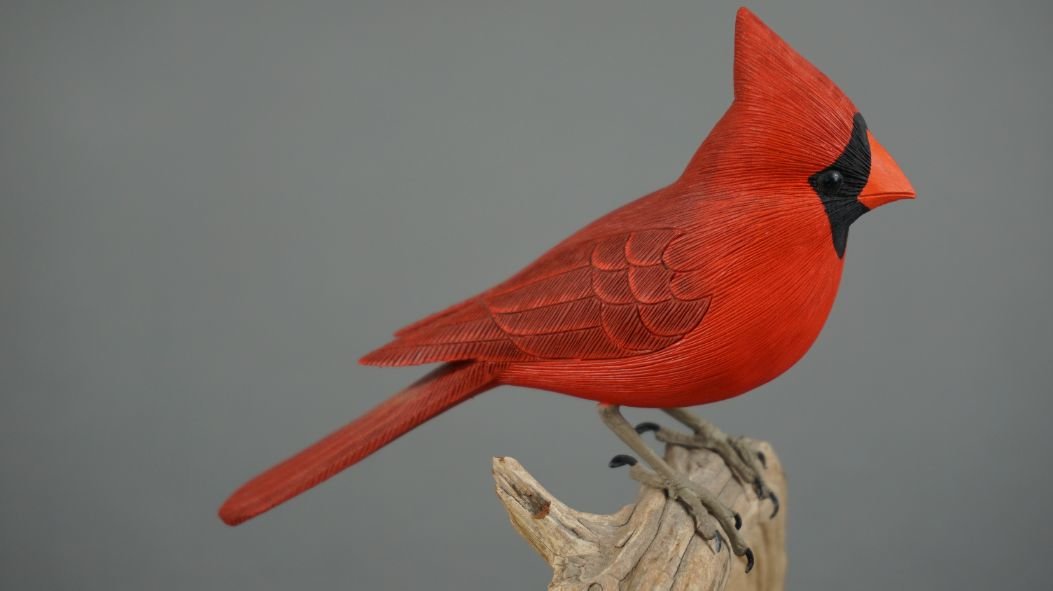 Image for November Online Sportsman's Auction