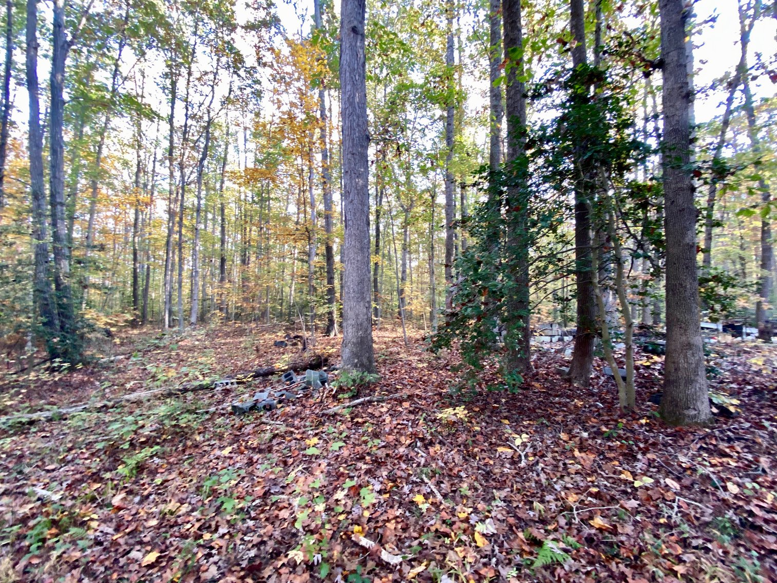 Image for 55.16 +/- Acres of Desirable Land Fronting Smith Station Rd. w/3 BR Home & Outbuildings in Spotsylvania County, VA--SELLING to the HIGHEST BIDDER!!