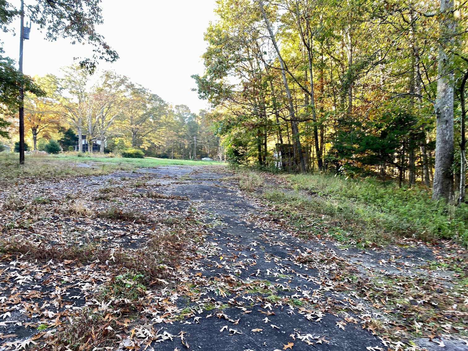 Image for 55.16 +/- Acres of Desirable Land Fronting Smith Station Rd. w/3 BR Home & Outbuildings in Spotsylvania County, VA--SELLING to the HIGHEST BIDDER!!