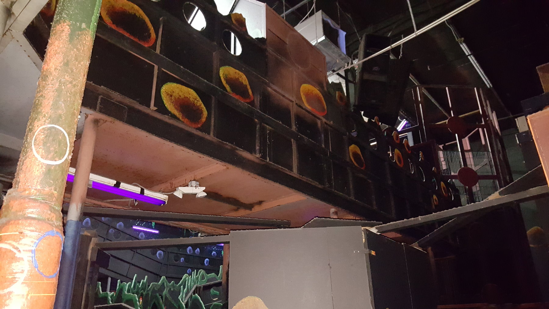 Image for Online Laser Quest Auction - Click Here for Details