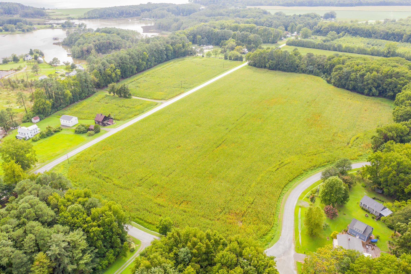 8 Spacious Lots w/ Dock & Water Access 19.21 ± AC in Subdivision