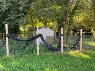 Image for 4 BR / 2 BA Single Family Home – Historic Petersburg - 302 Grigg St., Petersburg, VA 23803