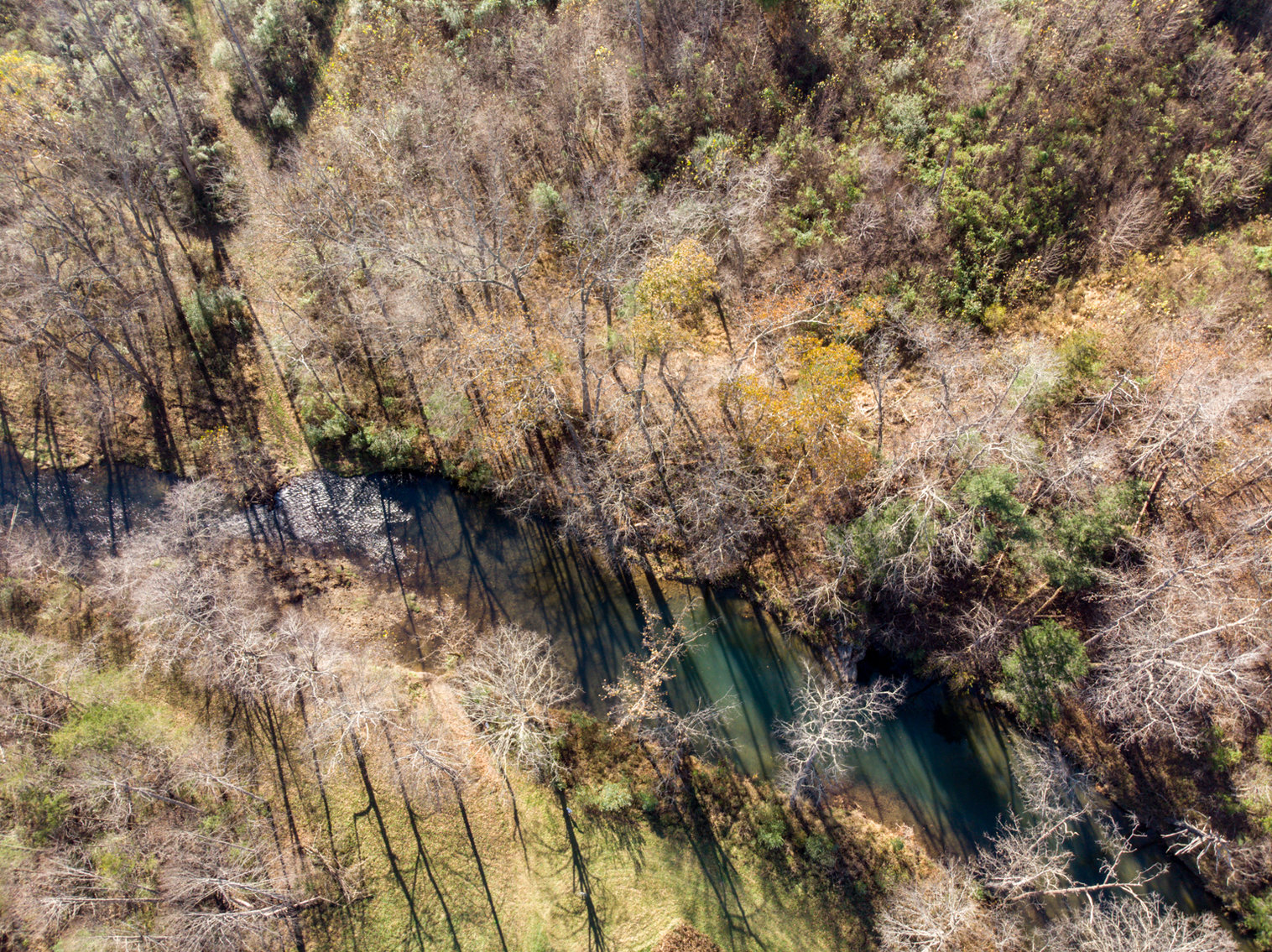 Image for RIVERFRONT LAND AUCTION: 193.9± Acres in 2 Tracts (Rockbridge County, VA)