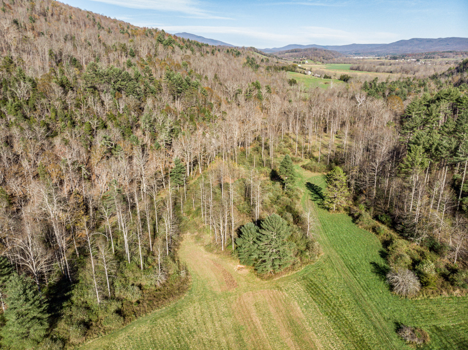 Image for RIVERFRONT LAND AUCTION: 193.9± Acres in 2 Tracts (Rockbridge County, VA)